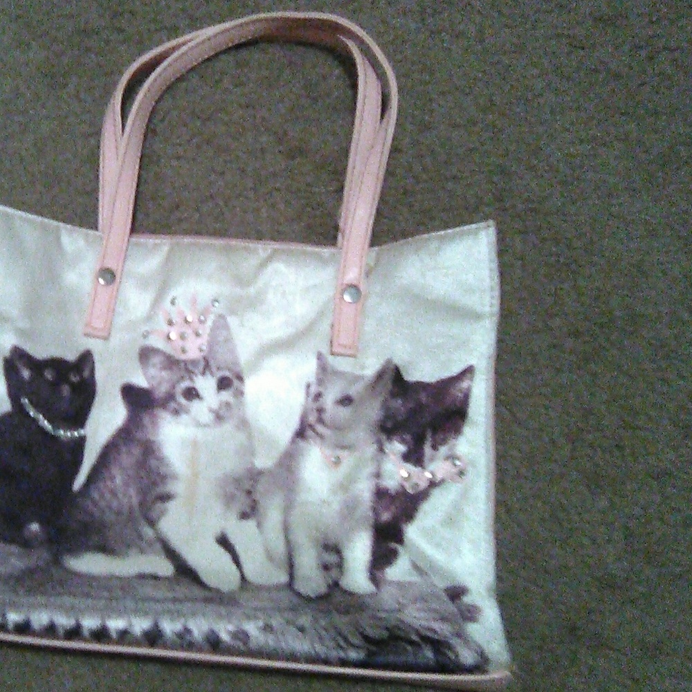 Kitty cat purse. 10 * 8 * 3. Cute find!